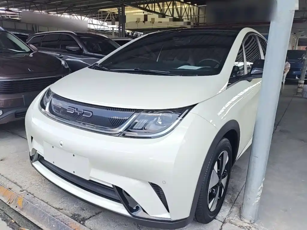 BYD Dolphin 2024 Glory Edition 420km Fashion Edition
