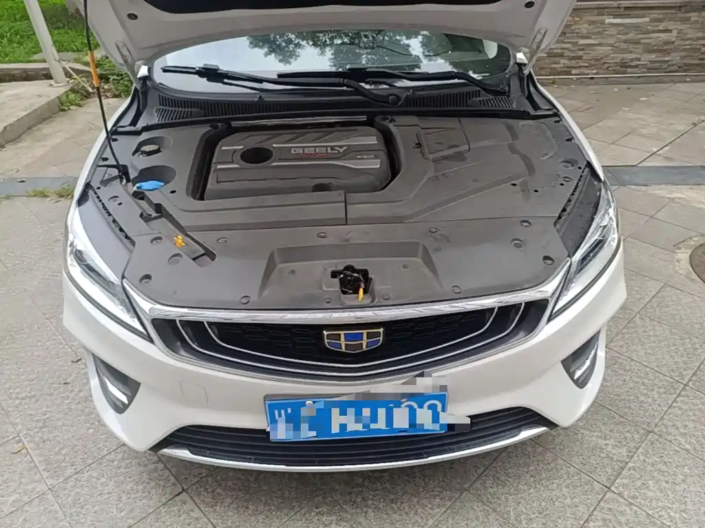 Geely Binrui 2019 2018 1.4T CVT Binzhi Edition