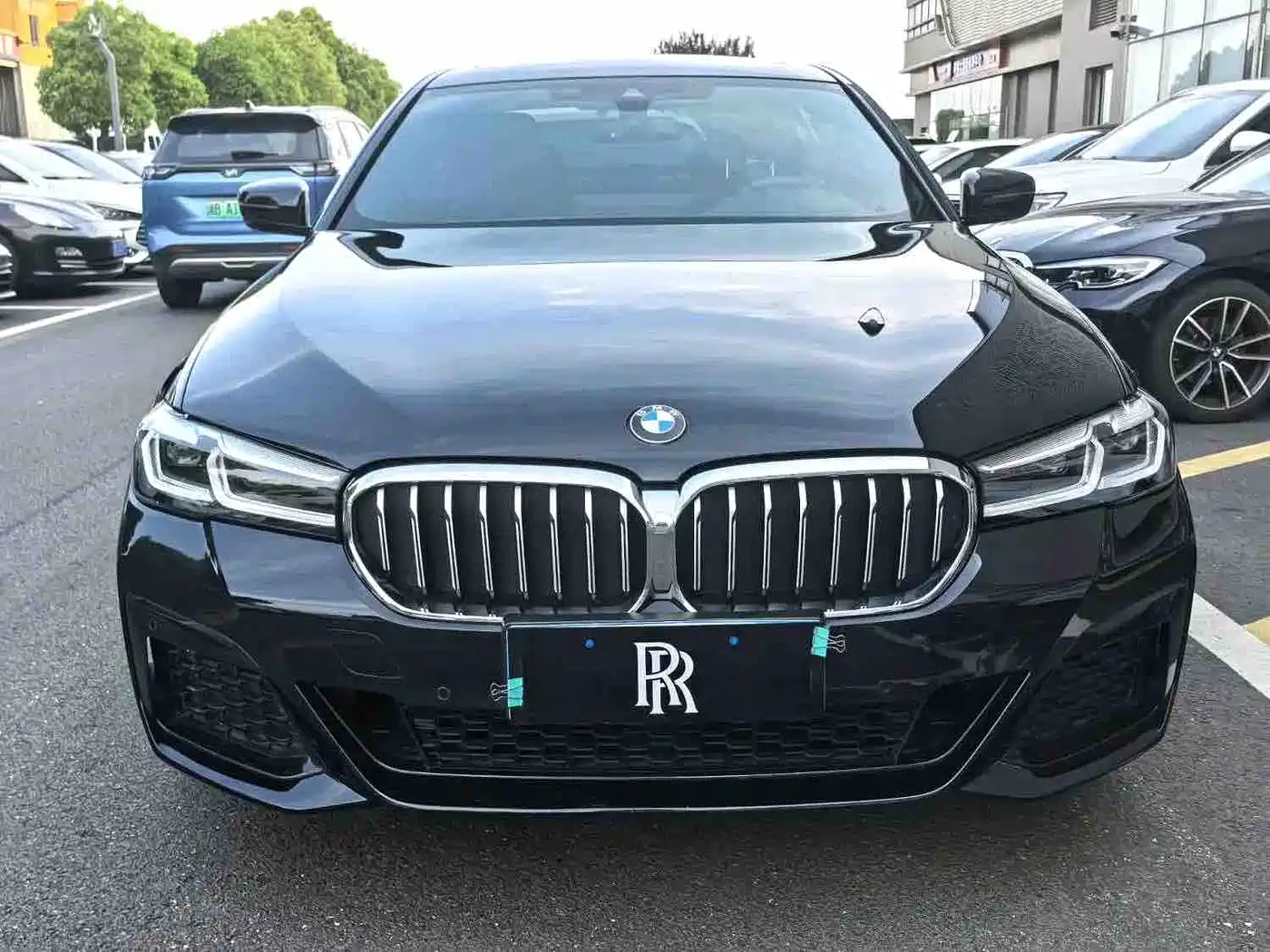 BMW 5 Series 2022 530Li Leading Luxury Package