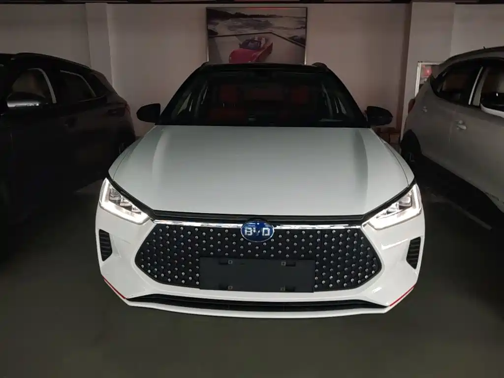 Фото 3 - BYD e2
