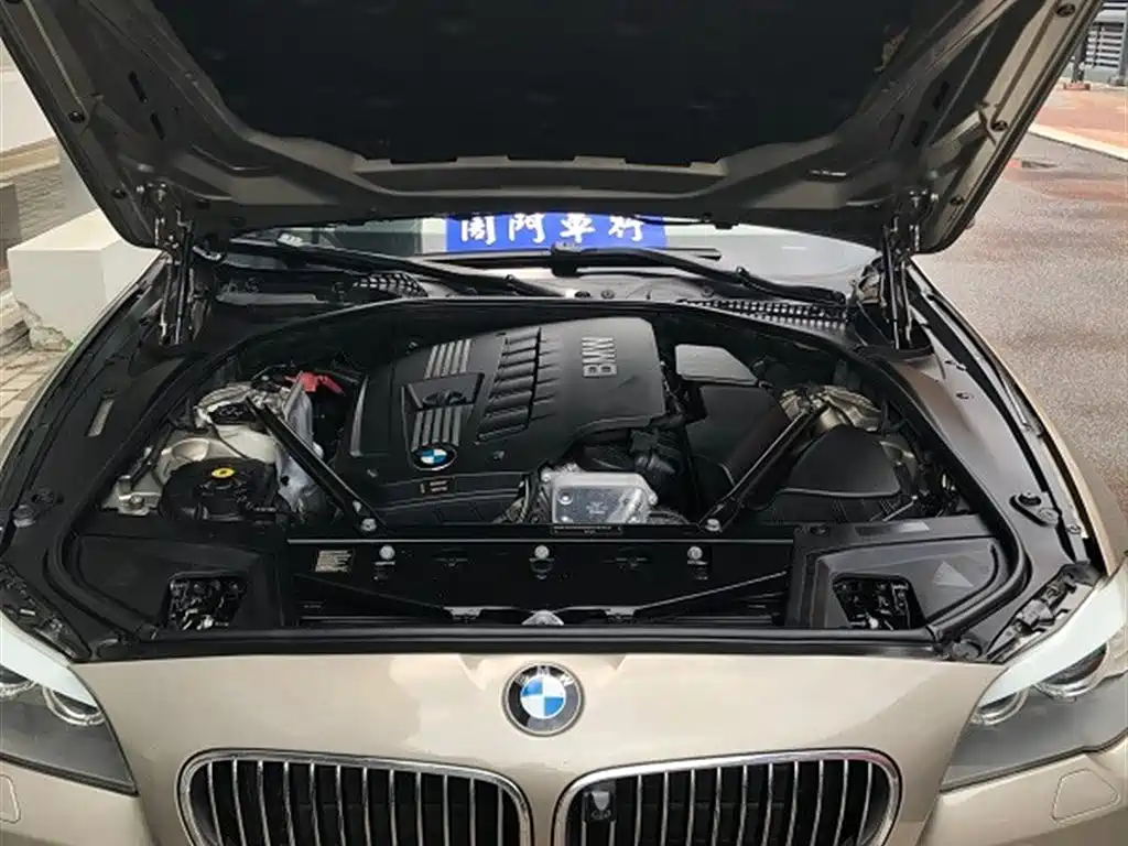 BMW 5 Series 2011 523Li Luxury фото 4