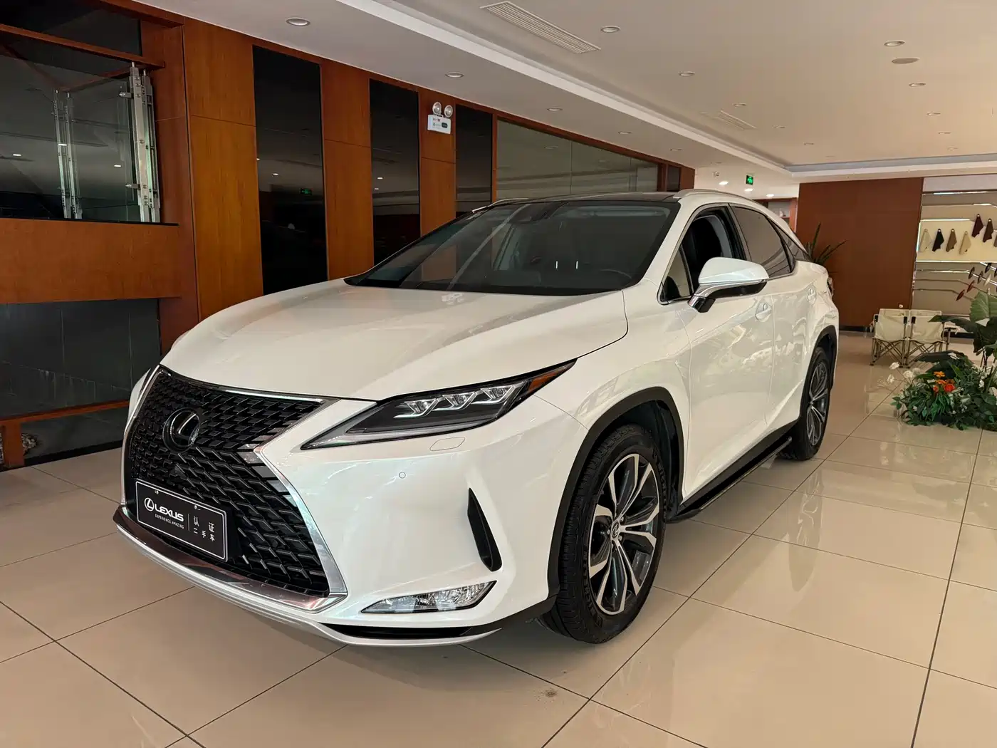 Lexus RX 2020 300 4WD Elegance Edition China VI