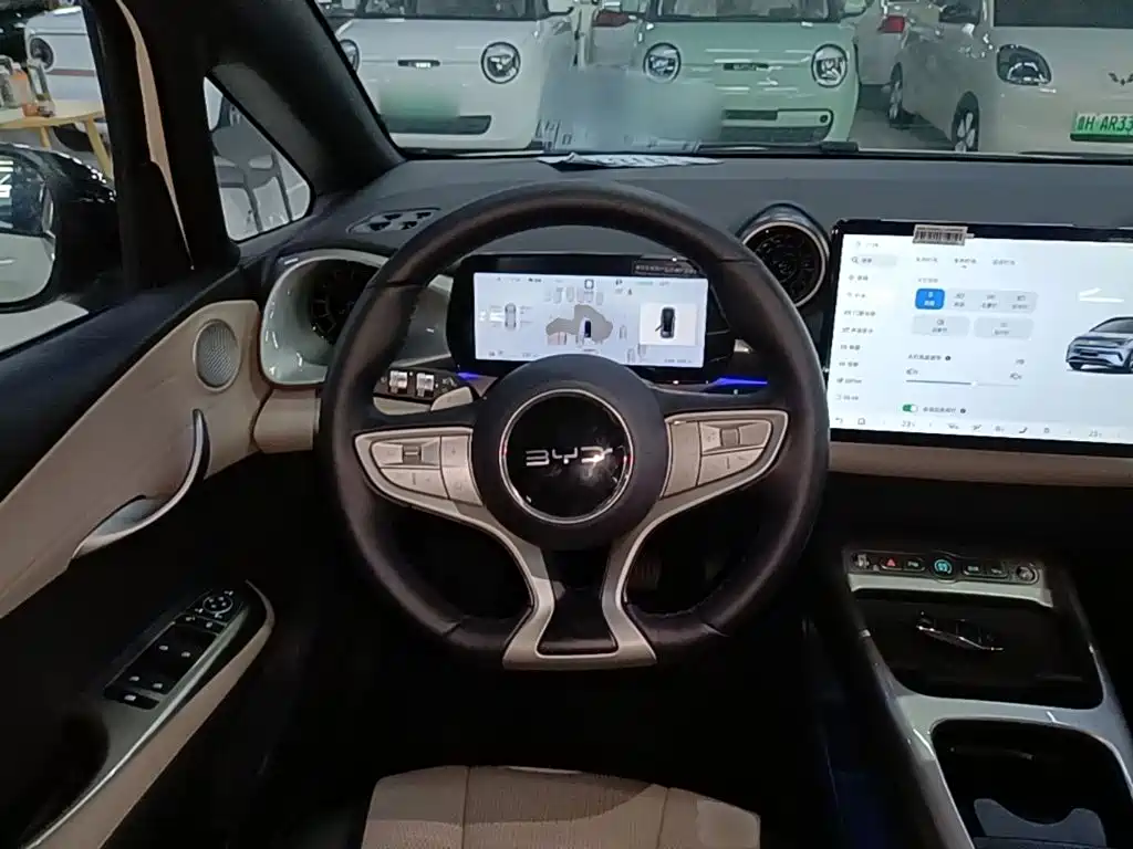 Photo 11 - BYD Dolphin