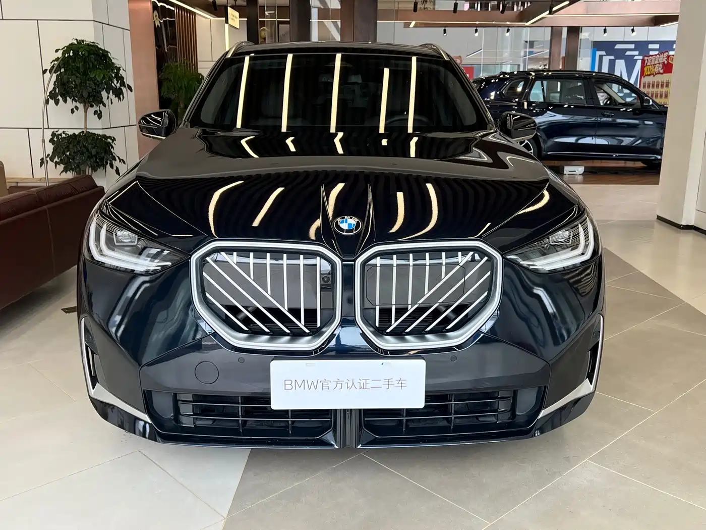 BMW X3 2025 xDrive25L Luxury Package фото 2