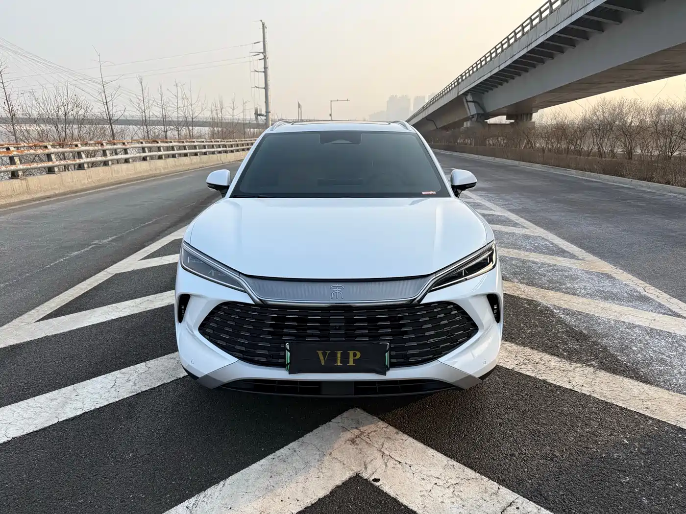 BYD Song L DM-i 2025 Smart Drive 160km Premium фото 2