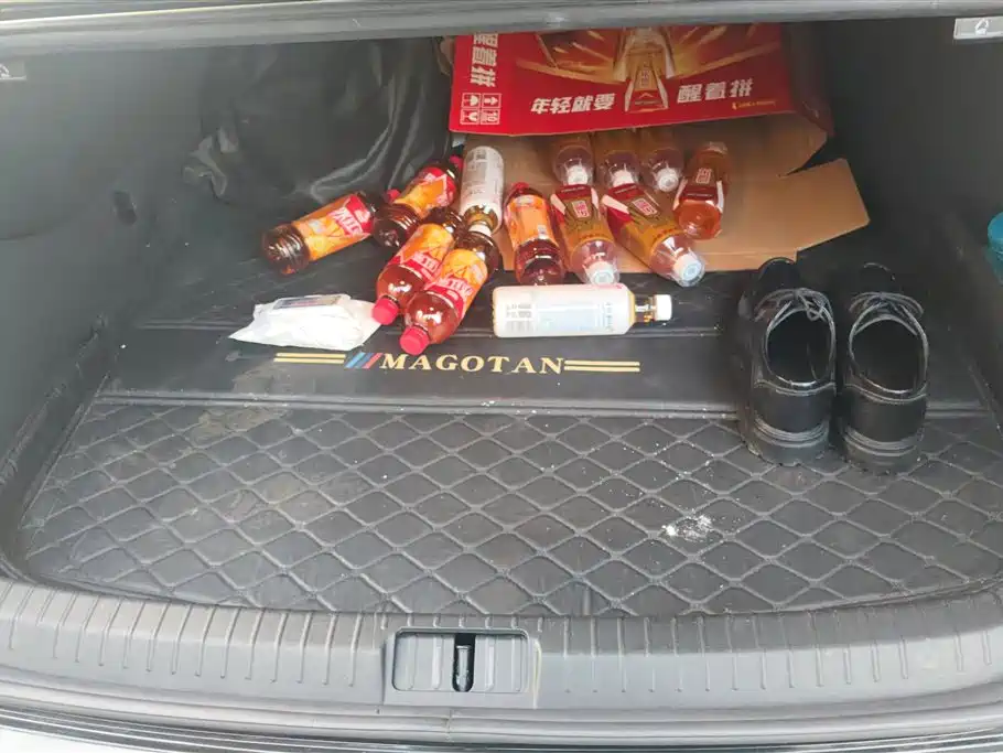 VOLKSWAGEN MAGOTAN GTE PLUG IN HYBRID