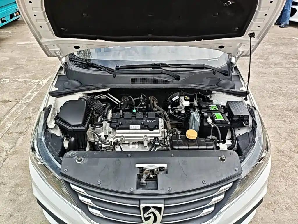 Baojun 310W 2020 2017 1.5L Manual Comfort China VI