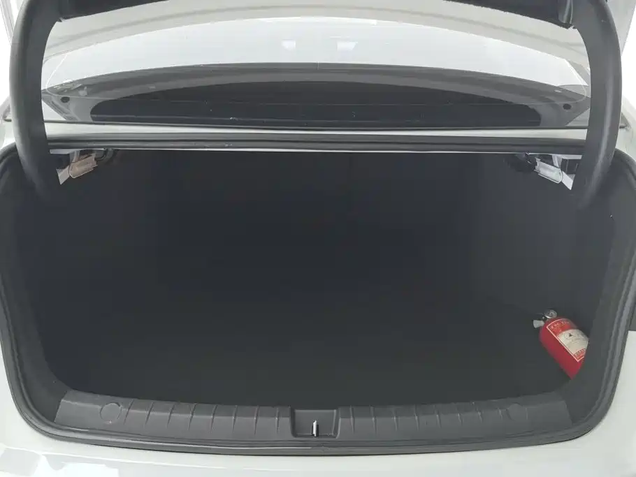 BYD Qin Pro 2021 2020 Surpass Edition 1.5TI Automatic Premium