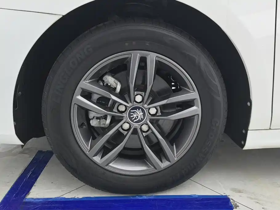 BYD Qin Pro 2021 2020 Surpass Edition 1.5TI Automatic Premium