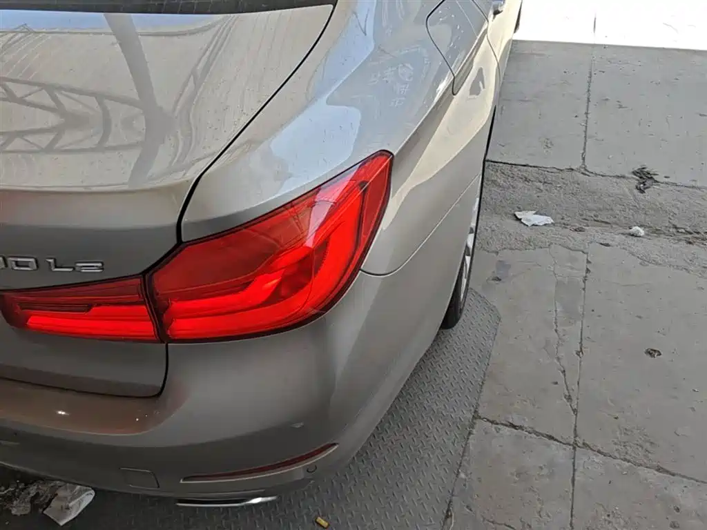 BMW 5 Series New Energy 2020 530Le Range Upgrade Luxury Package фото 8
