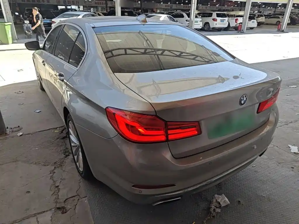 BMW 5 Series New Energy 2020 530Le Range Upgrade Luxury Package фото 5