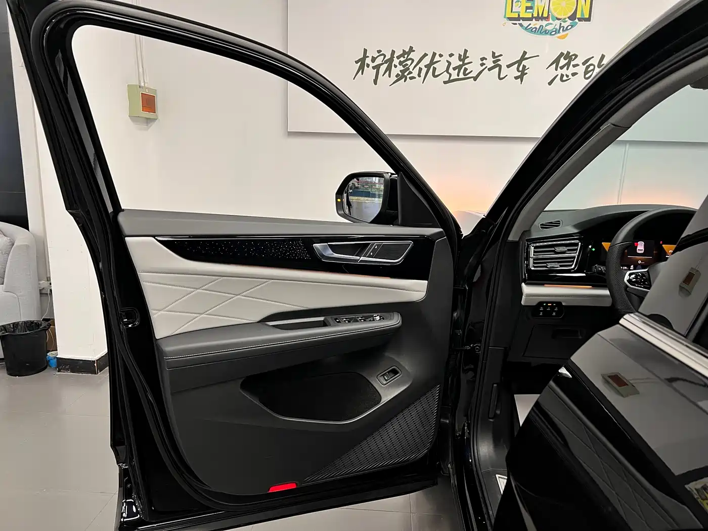 Volkswagen Teramont 2023 380TSI AWD Premium Luxury Edition фото 20