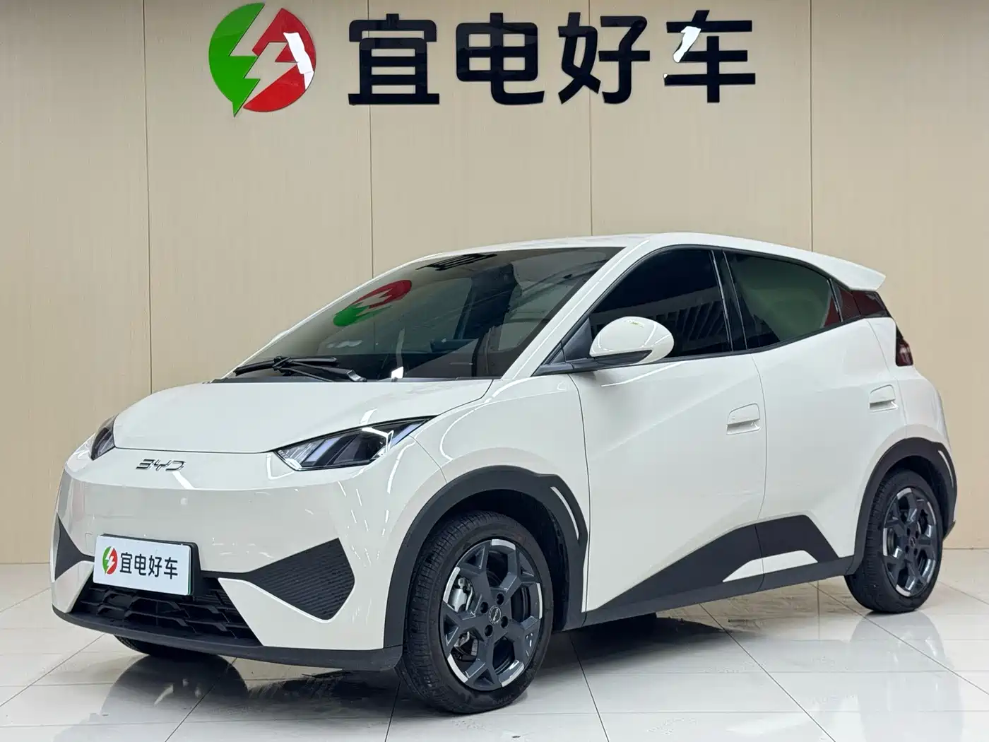 BYD Seagull 2025
