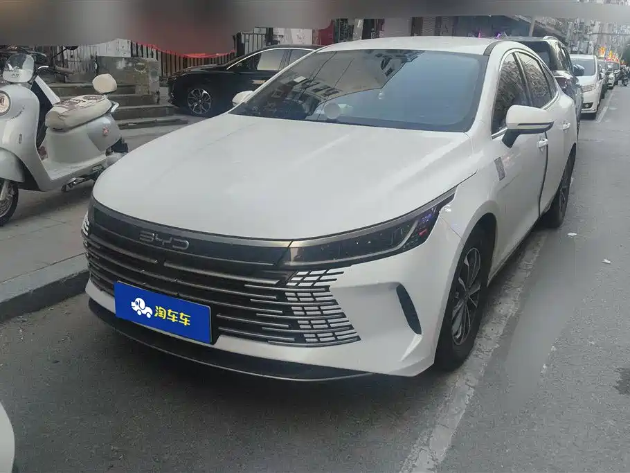 BYD Destroyer 05 2024 Glory Edition DM-i 55KM Luxury фото 2
