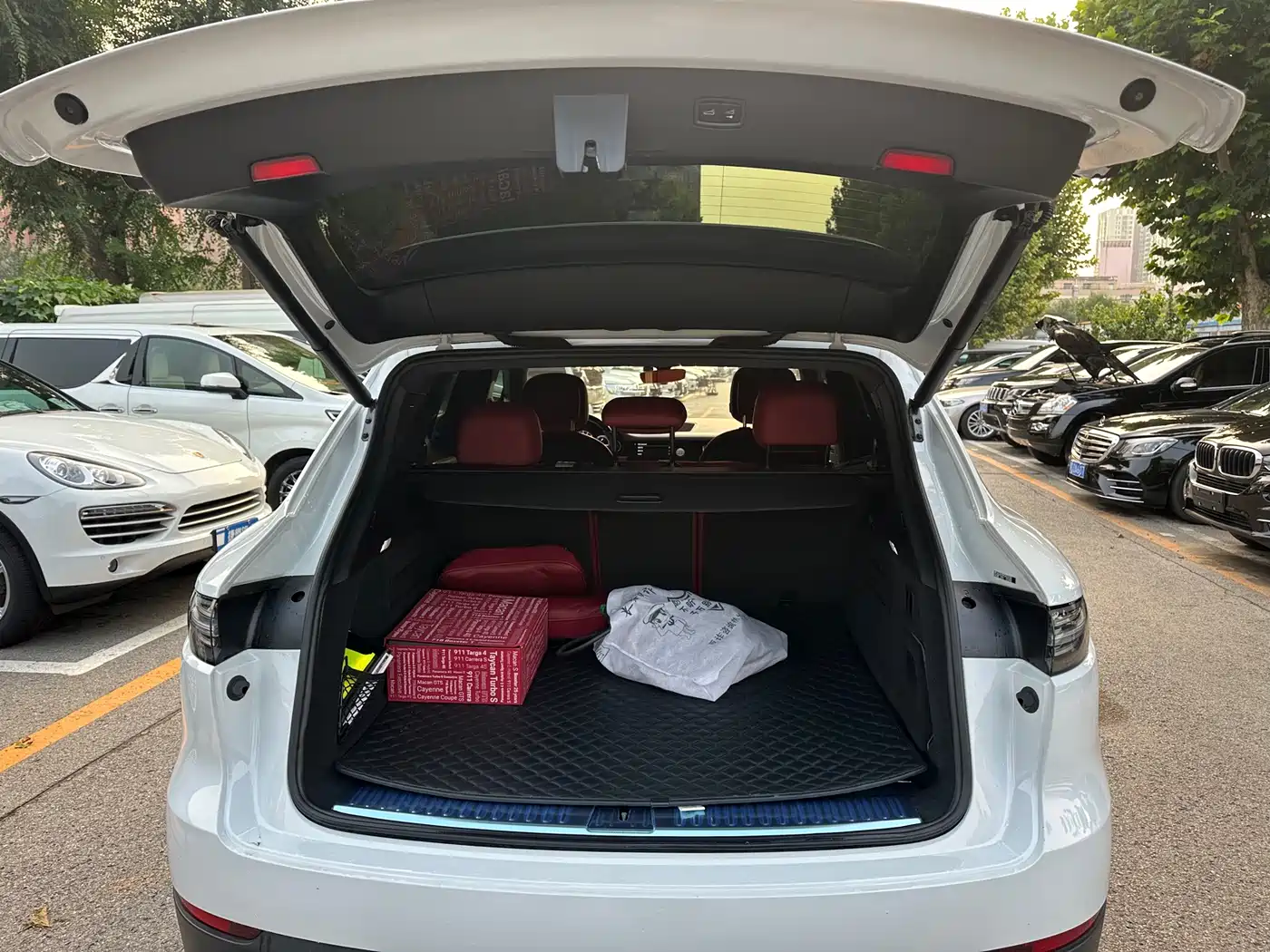 Porsche Cayenne New Energy 2023 2023 Cayenne E-Hybrid 2.0T Platinum Edition