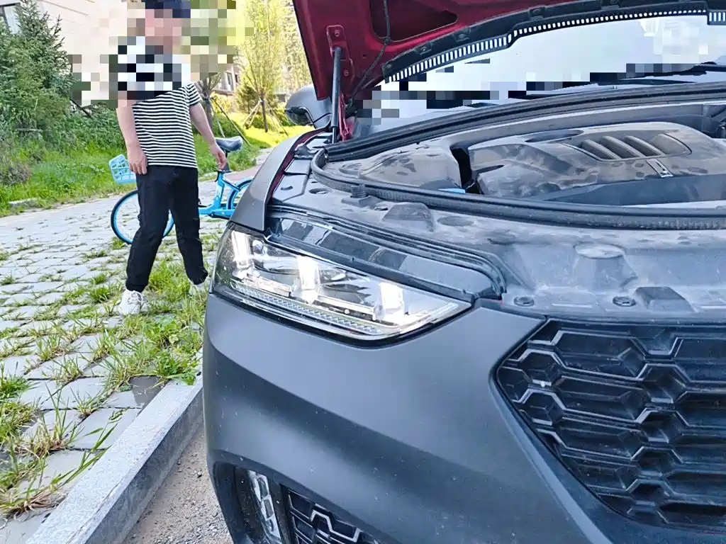 WEY VV7 2017 2017 2.0T Flagship