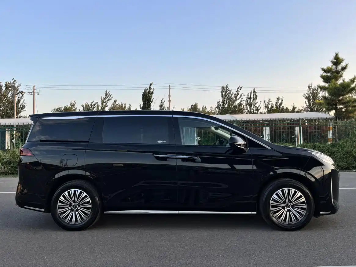 BYD M9, миниатюра 7