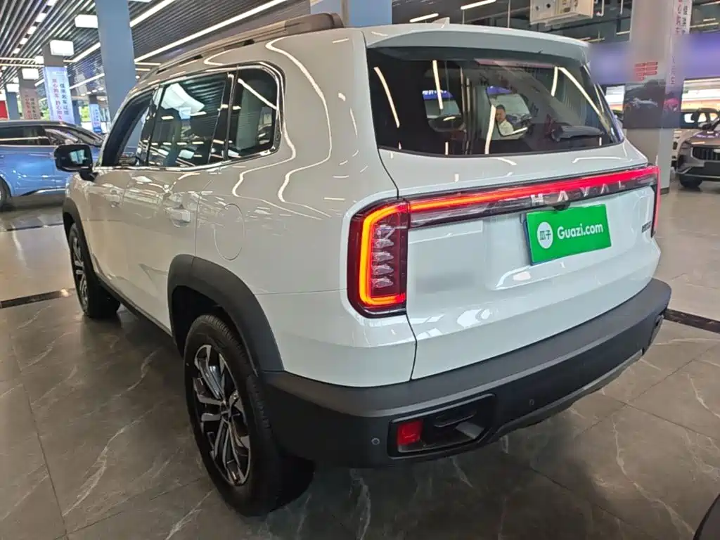 Фото 5 - Haval Dargo