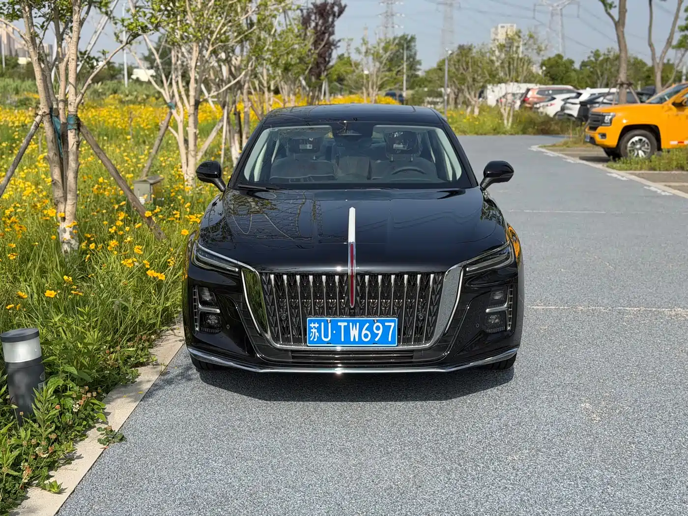 Hongqi H5 2025 2.0T Automatic Flag Celebration 500,000 Units Anniversary Edition фото 2