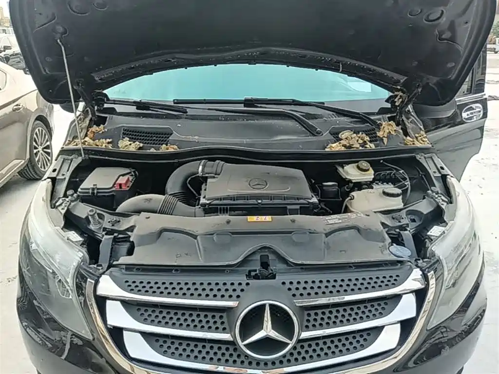 Mercedes-Benz Vito 2016 2.0T Business Edition фото 20