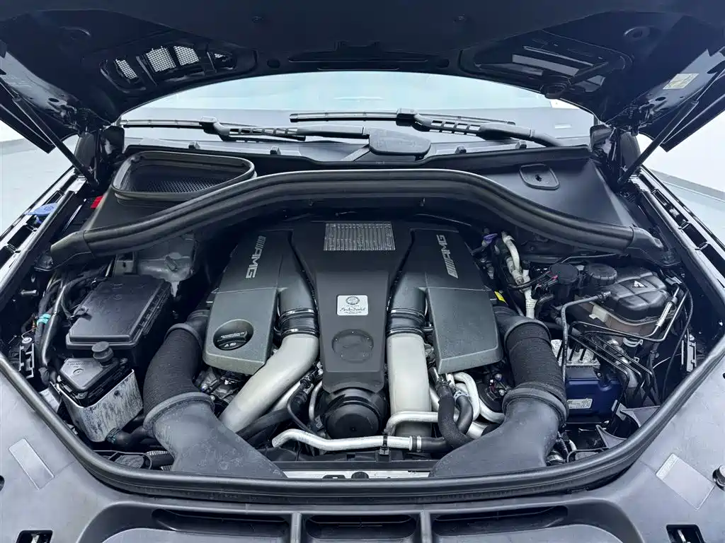 Mercedes-Benz GLS AMG 2017 AMG GLS 63 4MATIC фото 9