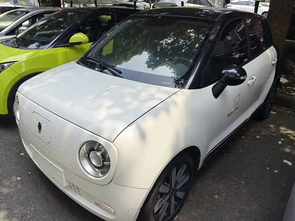 Ora Black Cat 2021 351km Standard Model