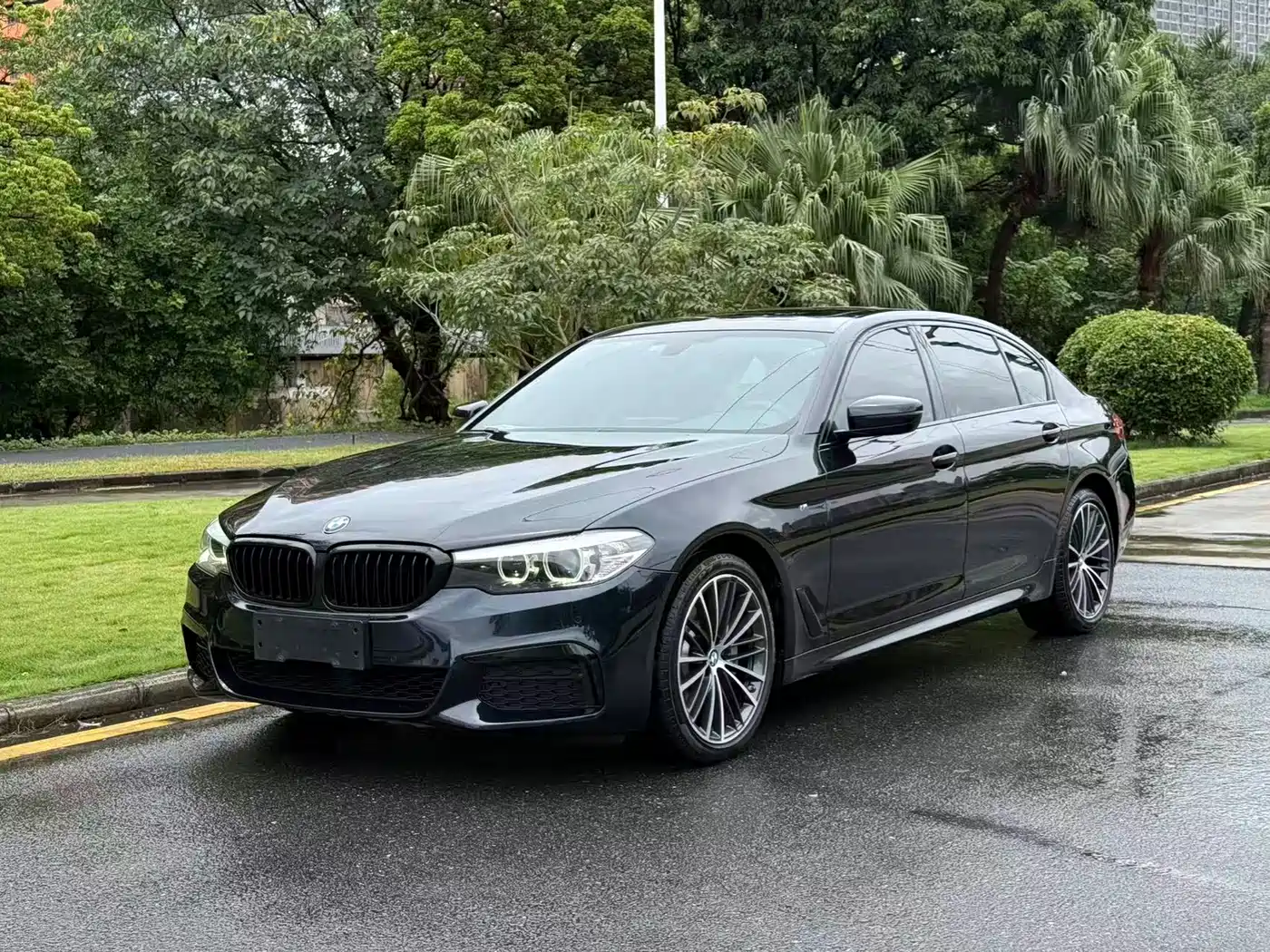  BMW BMW 5 Series 2019 Facelift 530Li Leading M Sport Package