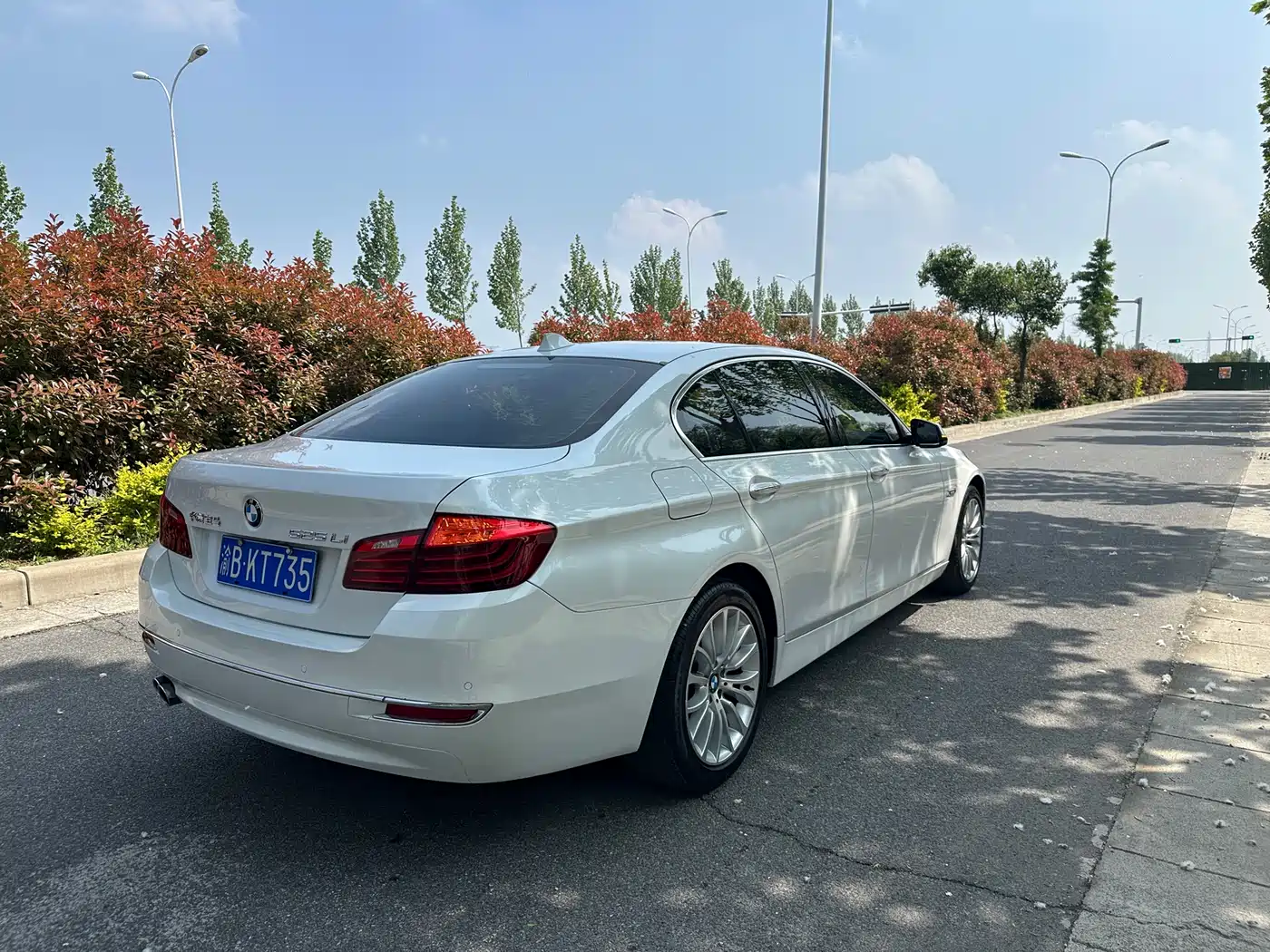 BMW 5 Series 2017 525Li Luxury Design Package фото 5