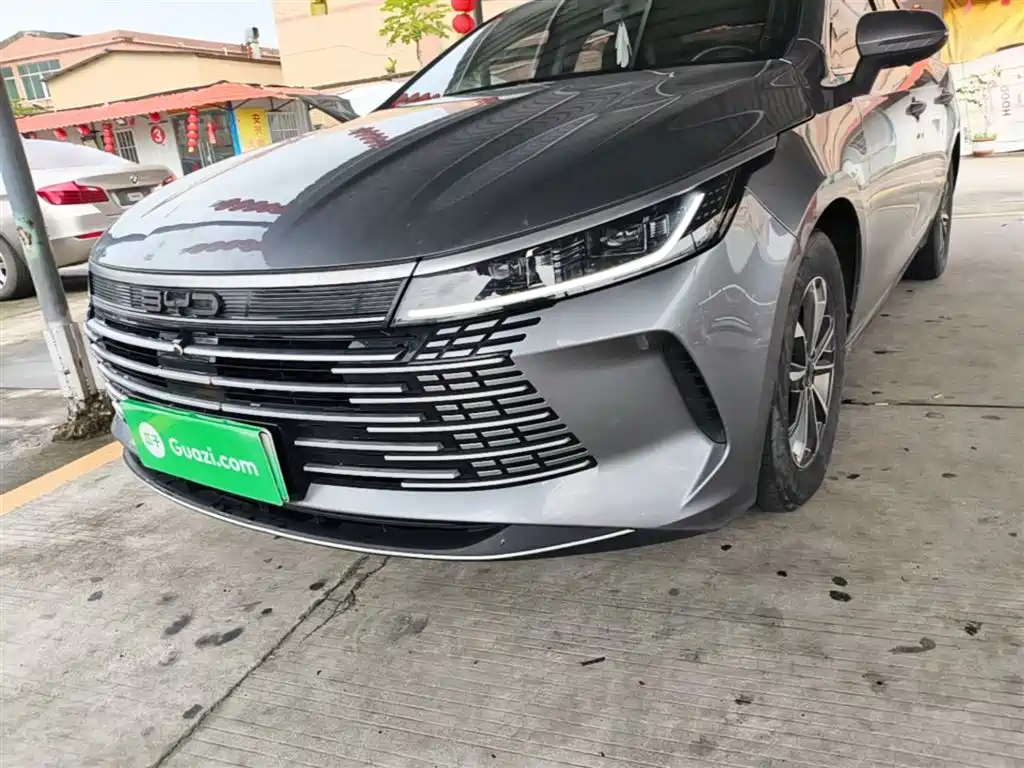 BYD Destroyer 05 2023 Champion Edition DM-i 55KM Luxury фото 24