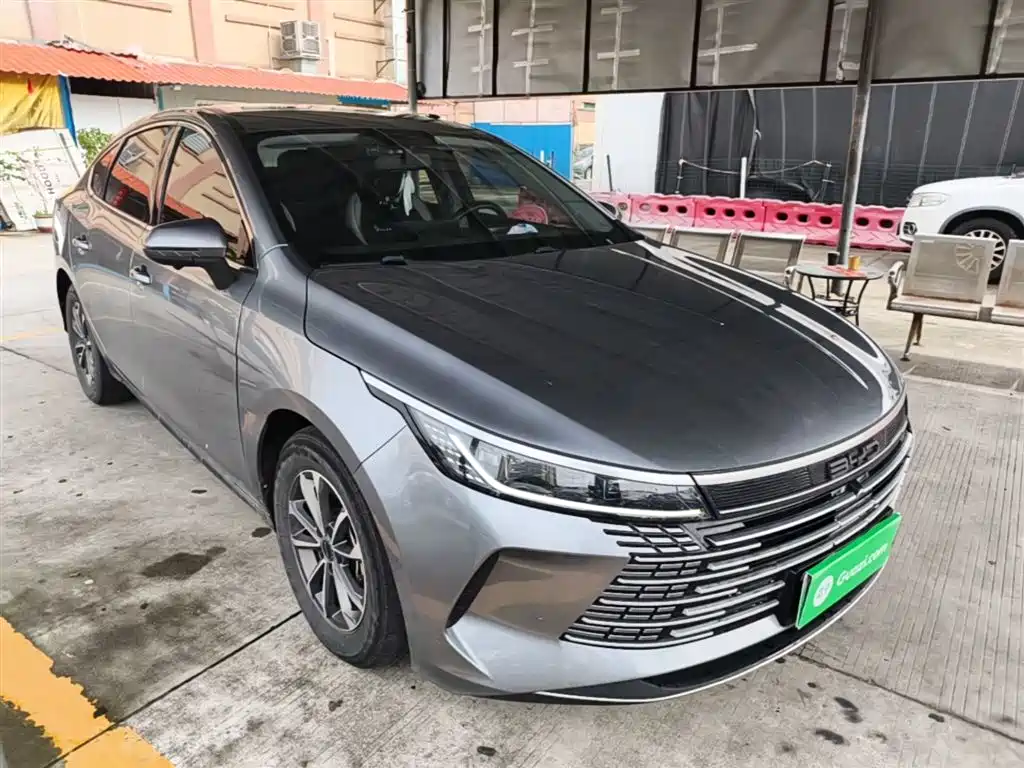 BYD Destroyer 05 2023 Champion Edition DM-i 55KM Luxury фото 4