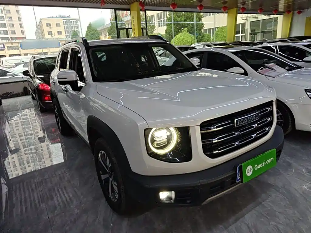 Haval Big Dog 2021 1.5T DCT 2WD Labrador Edition фото 4