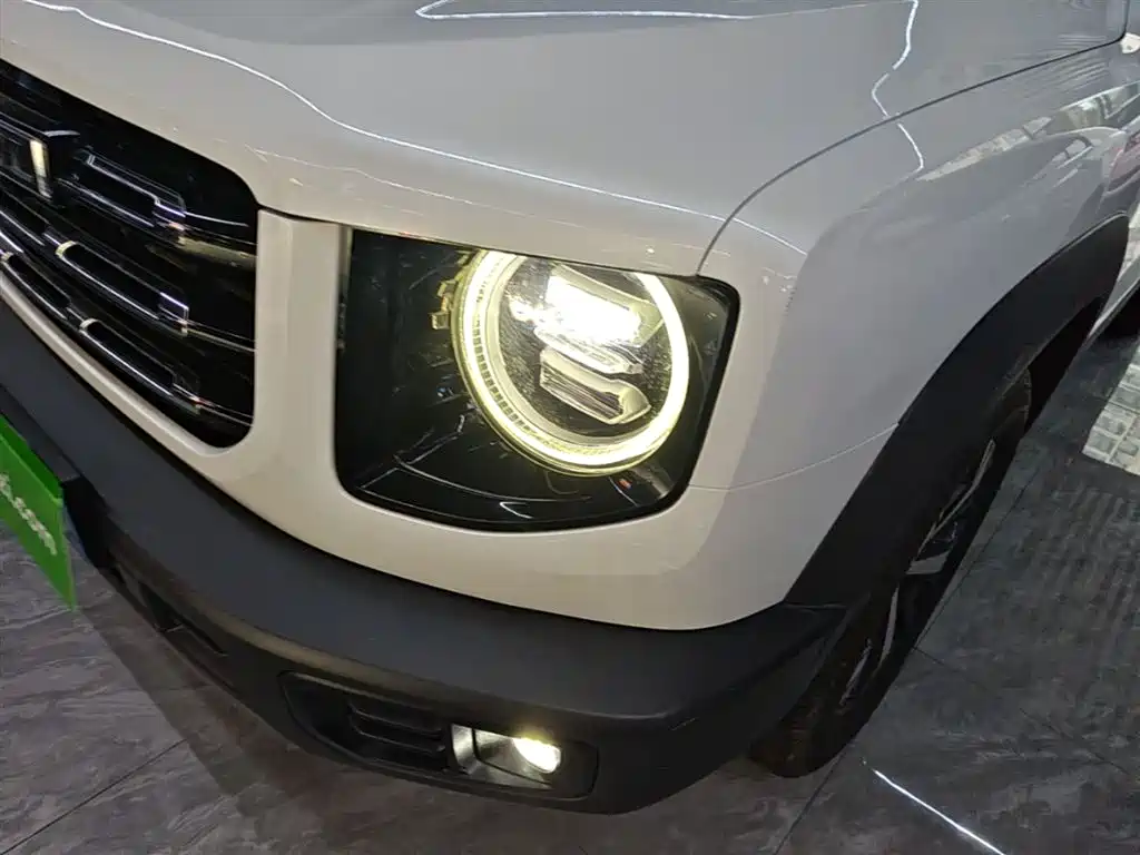 Haval Big Dog 2021 1.5T DCT 2WD Labrador Edition фото 24