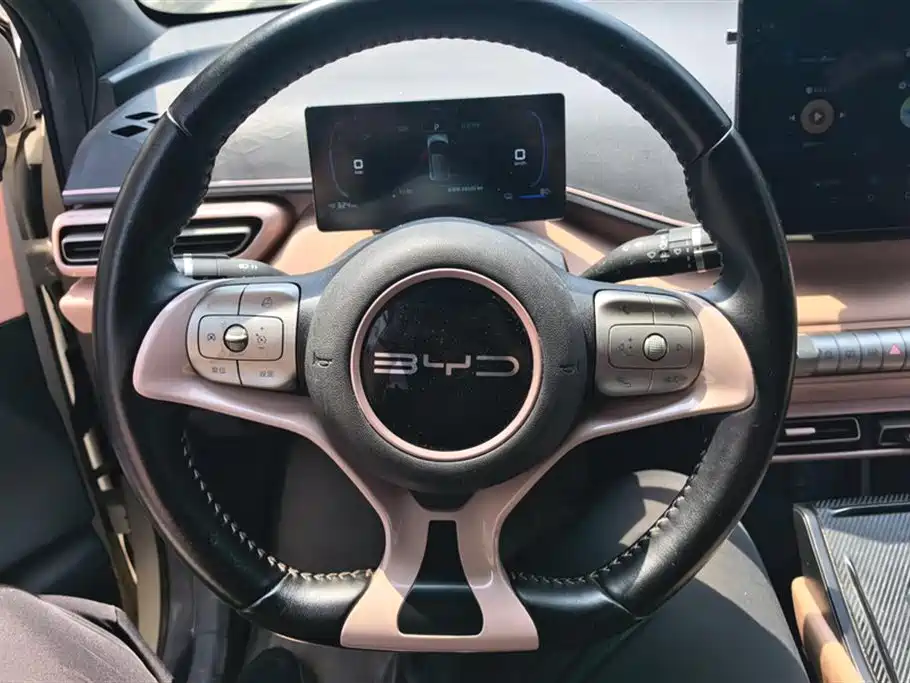 BYD Seagull 2023 Flying Edition фото 15