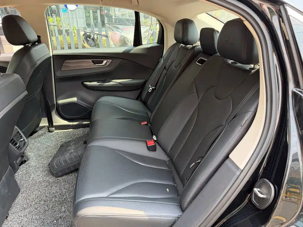 Photo 12 - Hongqi E-QM5