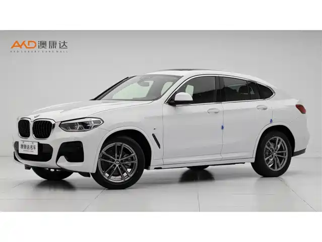 BMW X4 2020 xDrive25i M Sport Package