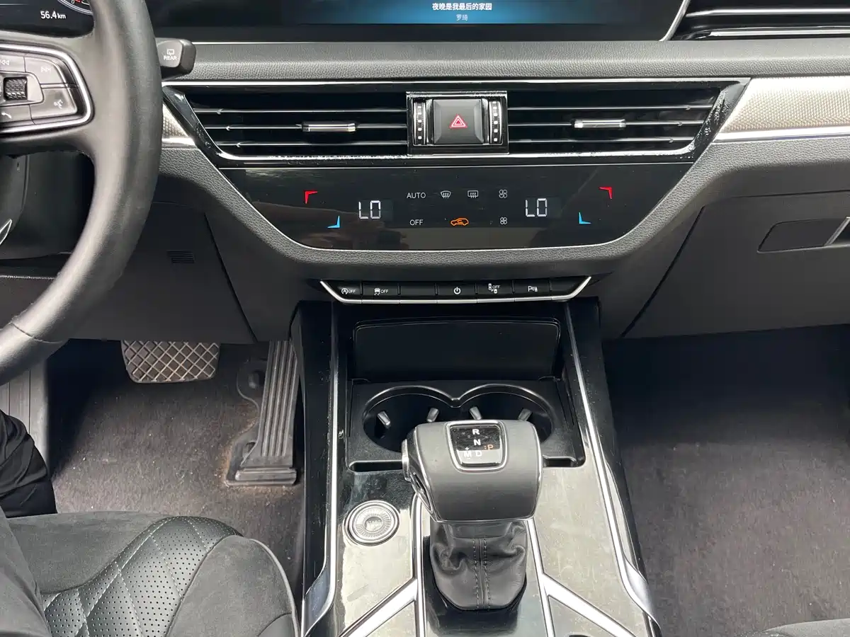 Hongqi HS5 2019 2.0T Smart Connect Enjoy 4WD Edition фото 16