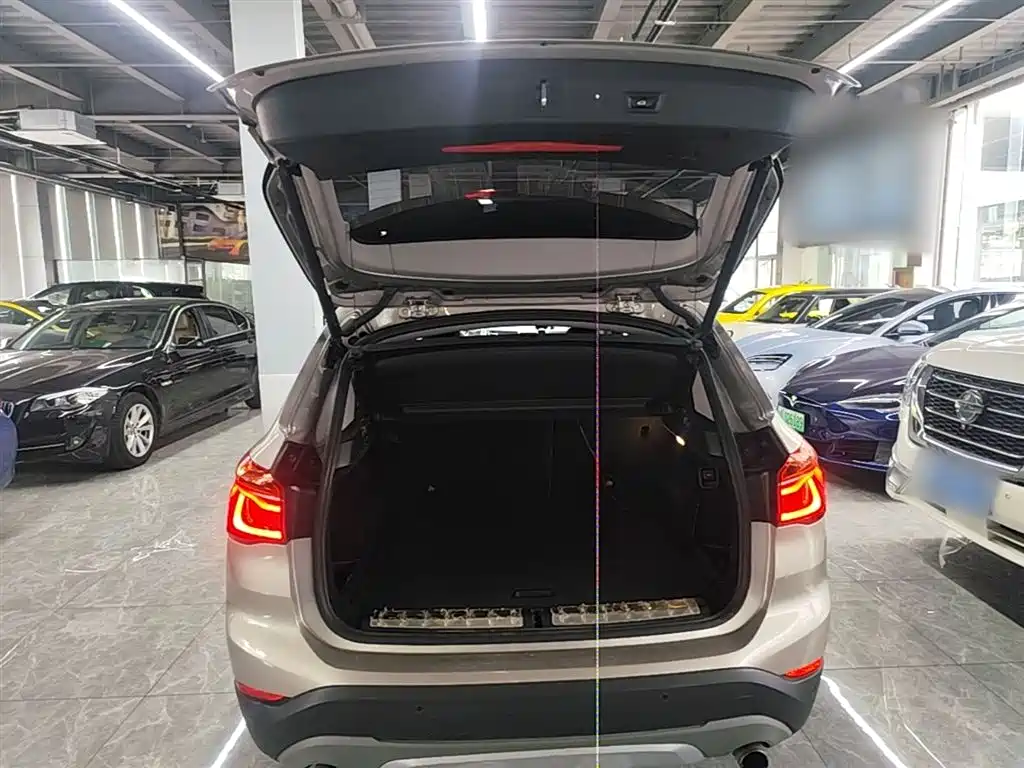 BMW X1 2018 xDrive20Li Premium Model фото 19