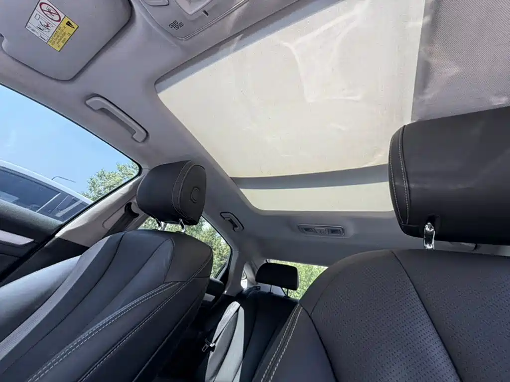 Geely Borui 2020 2020 1.5T MHEV Premium Edition
