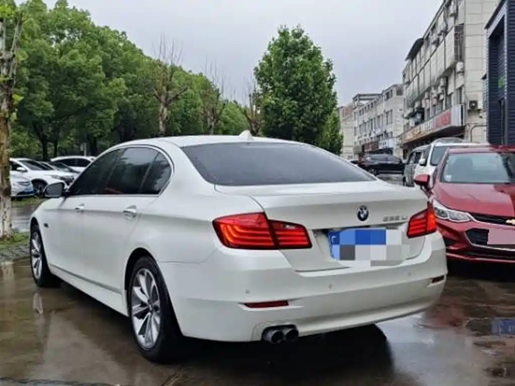 BMW 5 Series 2017 525Li Luxury Design Package фото 7