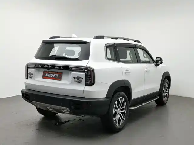 Haval Big Dog 2022 1.5T DCT FWD Malinois Edition — фото 2