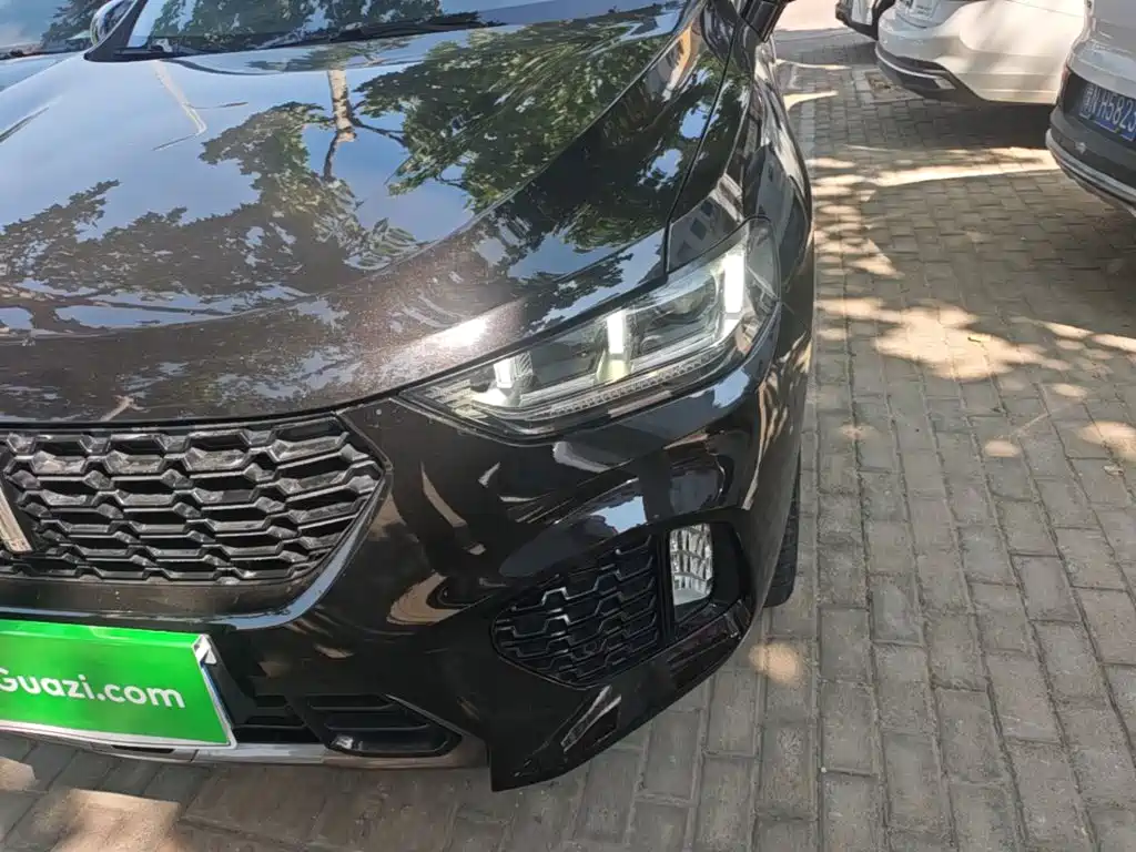 WEY VV5 2017 2017 2.0T Super Luxury Model
