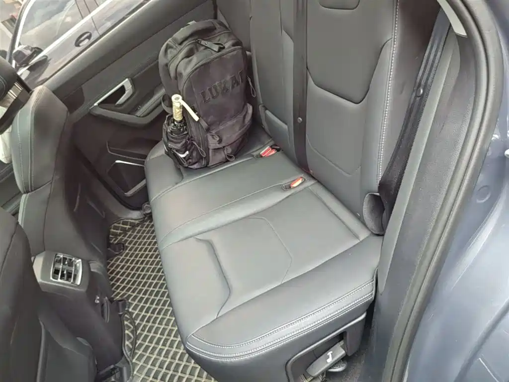 BYD Song Pro New Energy 2019 DM 1.5T 4WD Performance Luxury фото 17