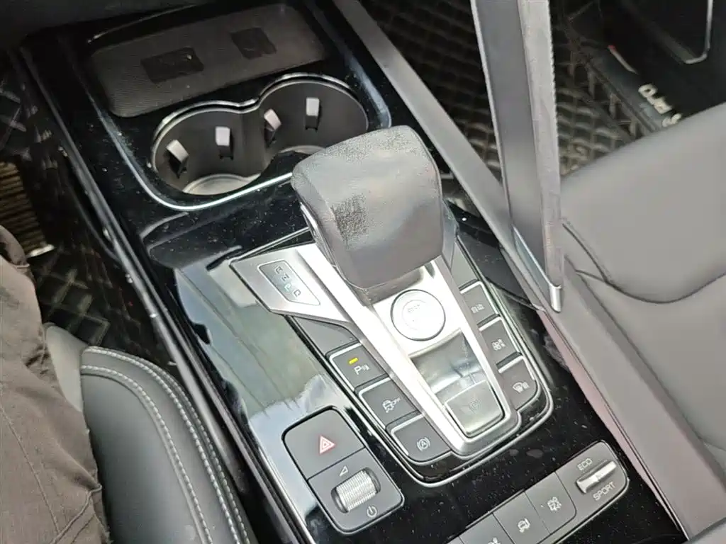 BYD Song Pro New Energy 2019 DM 1.5T 4WD Performance Luxury фото 14