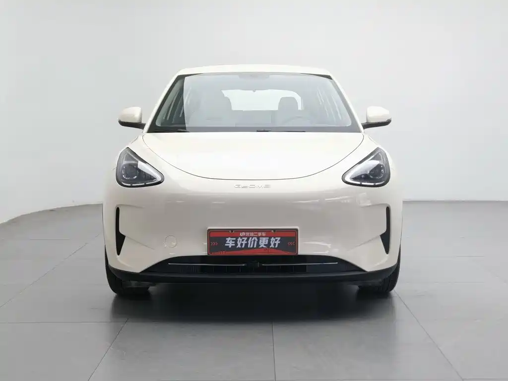 Geely Galaxy Starry Wish 2025 2025 310km Youth Edition
