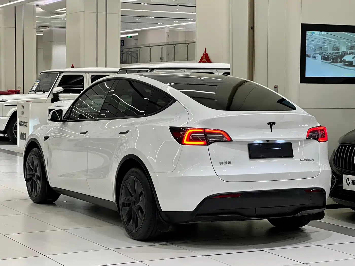 TESLA MODEL Y