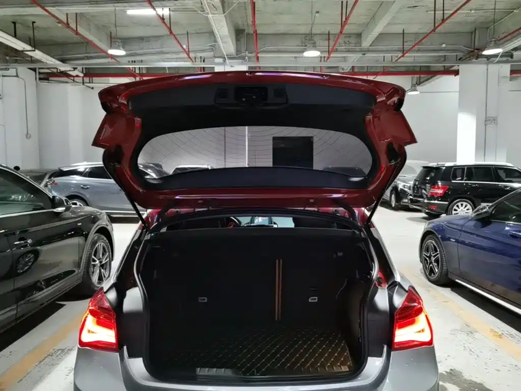 BMW 1 Series (Import) 2016 118i Leading фото 19
