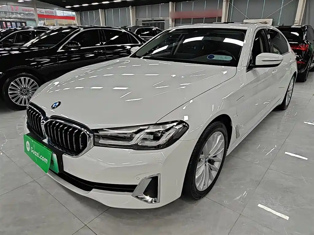 BMW 5 SERIES NEW ENERGY