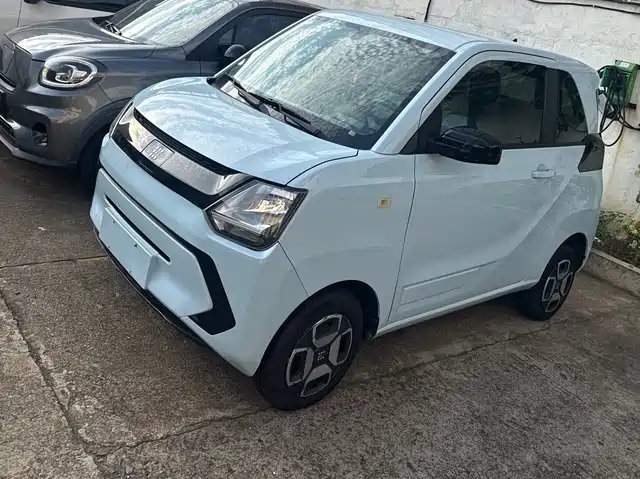 Dongfeng Fengguang Fengguang MINIEV 2022 Practical Style Utility Type