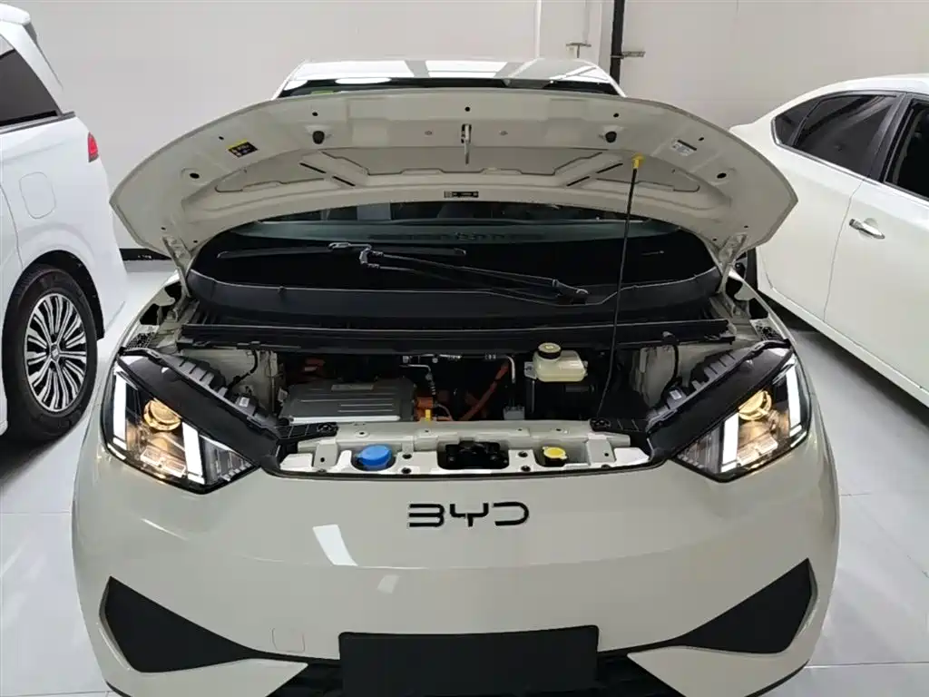 BYD Seagull 2025 Smart Drive Edition 305km Vitality Version фото 20