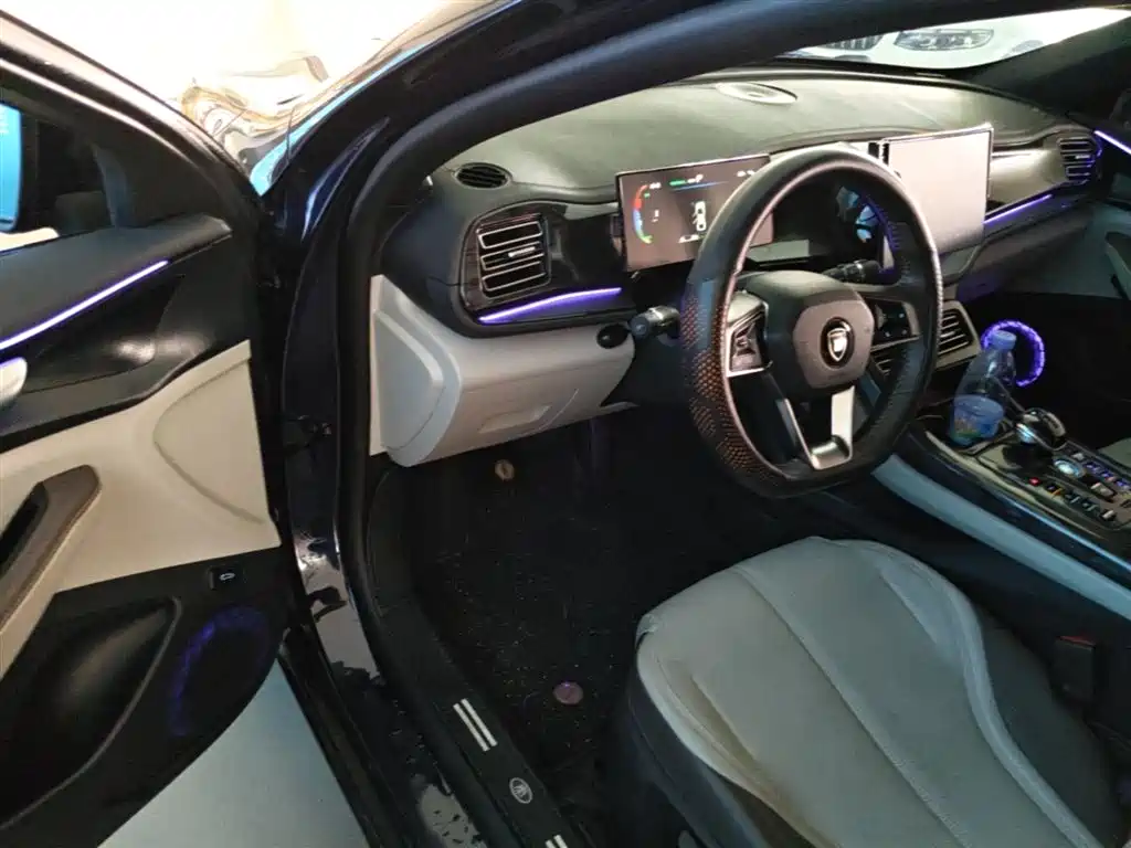 BYD Qin PLUS 2023 Champion Edition DM-i 55KM Leading фото 16